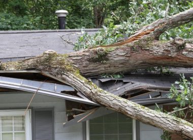 storm-1 storm-1